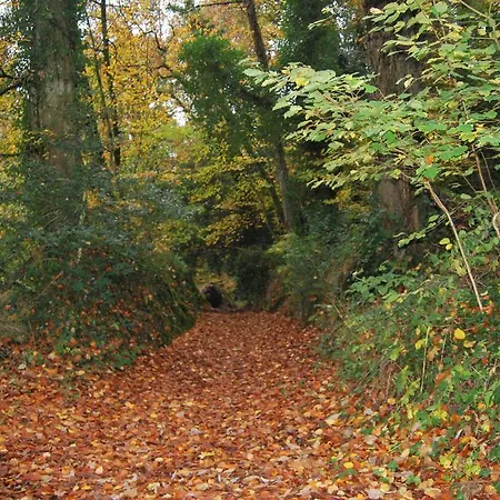 Gite La Chouette Bégard Extérieur photo